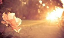 空想人生不算,需要行动才知道深浅