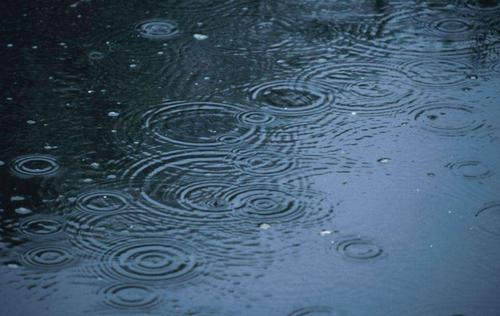 雨前谚语