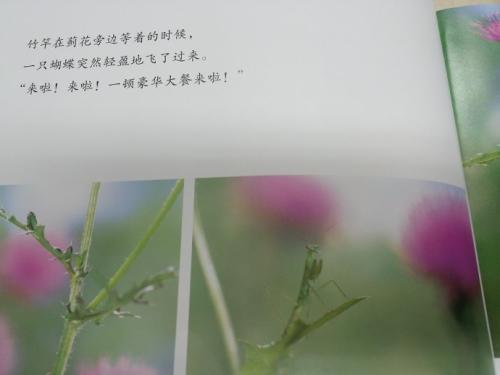 小玉是个比喻