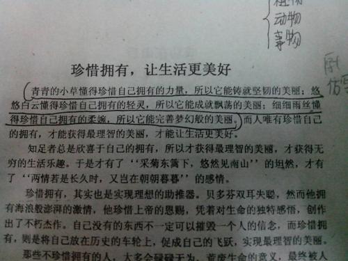 写父亲的平行句子
