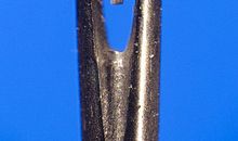 芝麻掉进针眼里歇后语