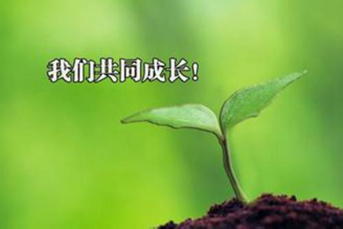 鸟平行句