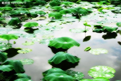 雨后描述风景的句子