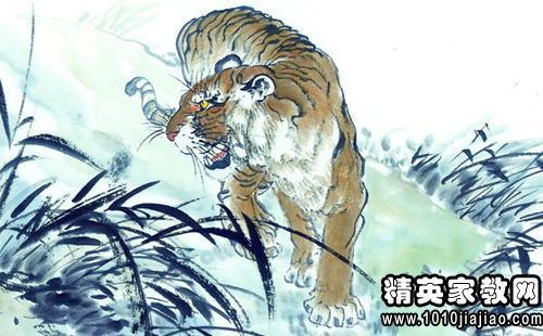 梦见骑虎