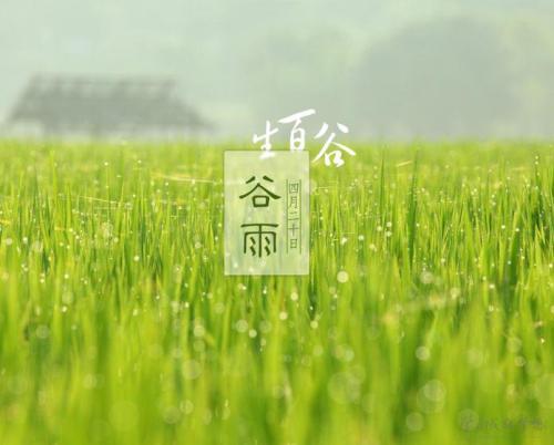 谷Yu农业谚语