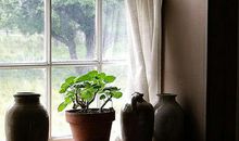 我们都需要一扇窗，一扇能看到快乐和幸福的窗