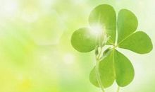 熬过了所有的苦，也就懂得一些至简的人情事理