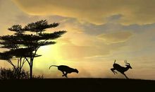 优胜劣汰的世界里，你必须不断提升自己的价值