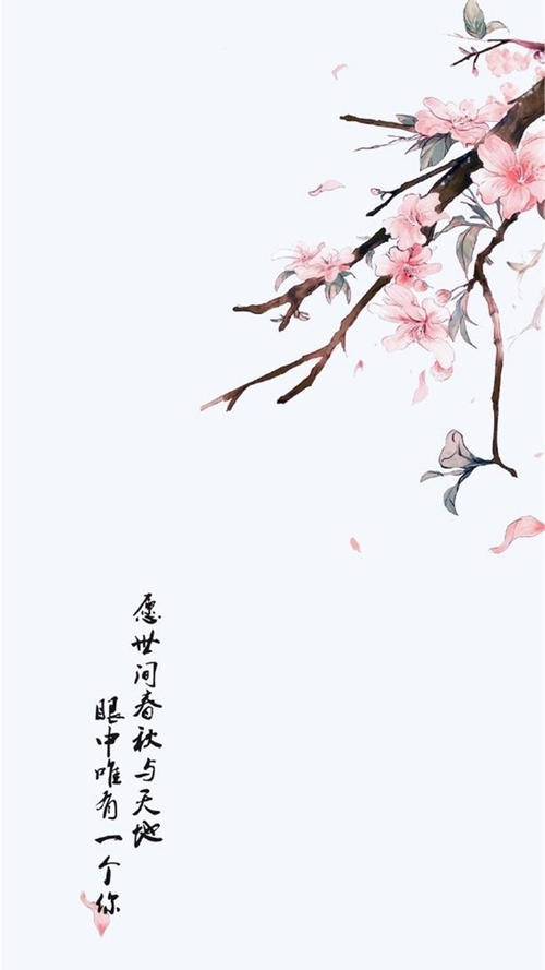 关于经文
