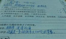 像什么像什么造句