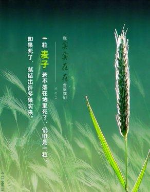 诗与花