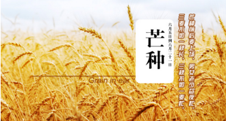 芒果谚语英语