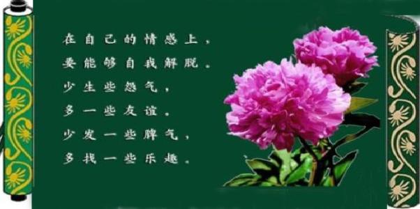 关爱句子