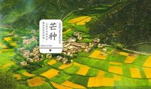 有关芒种的谚语