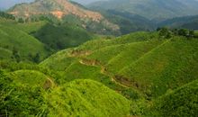 描写山里风景的句子