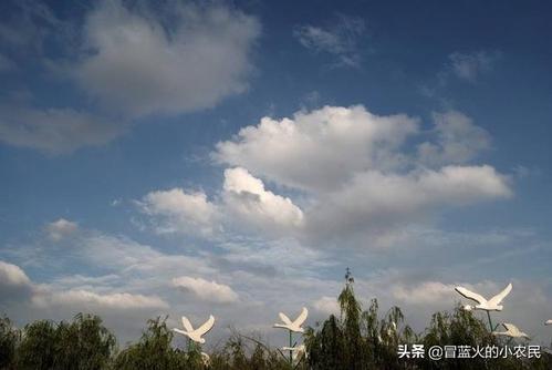 天气谚语大全
