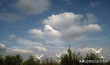 天气的农谚语大全