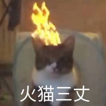 梦想发财