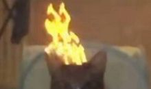 做梦发大财歇后语