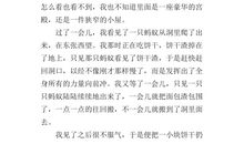 描写团结一致的句子