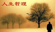 2015最有哲理的句子