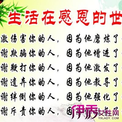 漂亮的句子描述团结