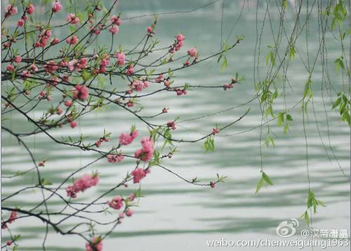 春天的诗句