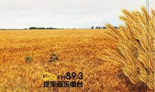 关于立秋的节气谚语