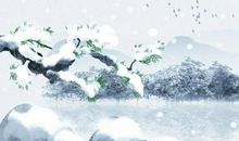 古诗词描写雪的诗句