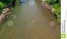 描写夏天风景的好段