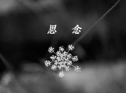 表达关于失踪的一句话