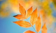 qq签名唯美的句子：阳光很温暖，让我觉得一生都太过漫长