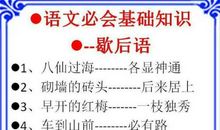 写作时的万能谚语