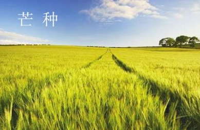 一年级芒谚语