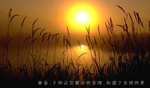 一整套描述清晨的句子