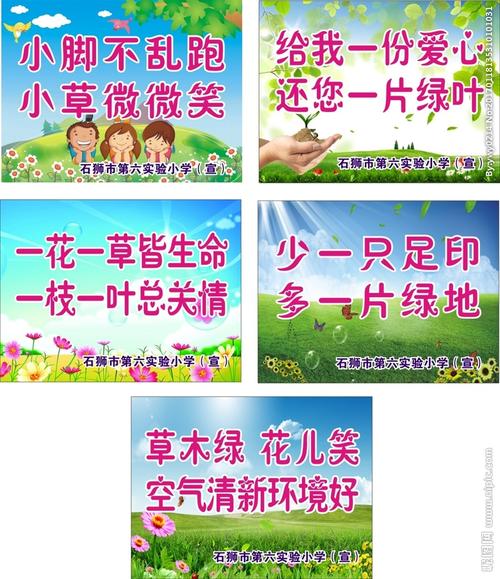 苗条口号