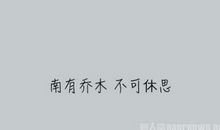 南方有乔木经典台词