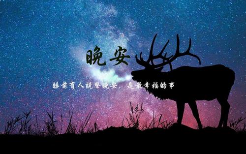 关于晚安的美丽句子