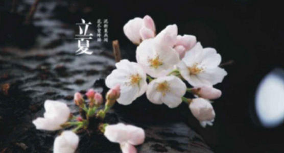 丽霞祝福语