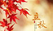 二十四节气谚语立秋