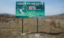 有关森林的环保标语