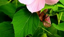 给人动力的句子