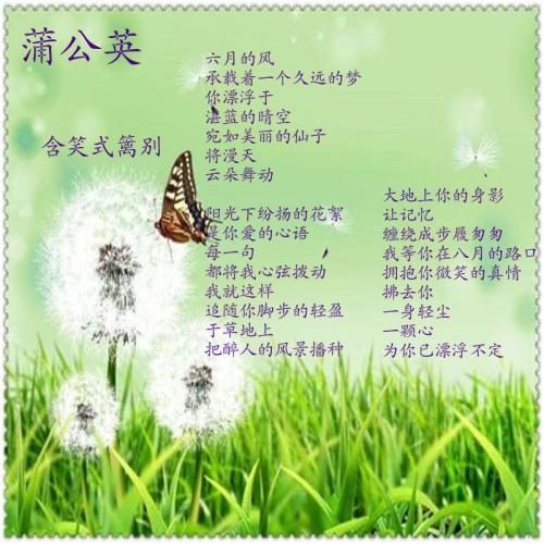 风诗