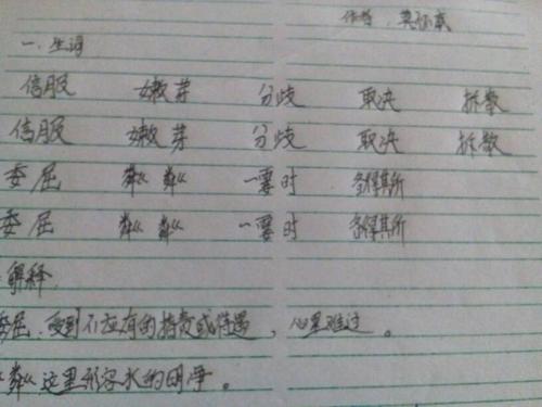 亲爱的