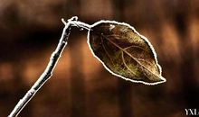 形容不被信任的句子