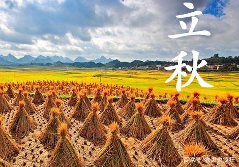 立秋谚语