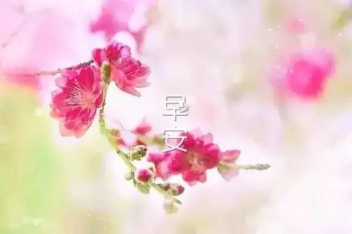 太空问候