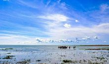 老鼠啃书本的歇后语