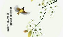 关于带风的诗句