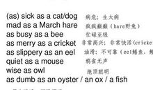 关于微笑的英语谚语